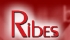 Homepage Ribes