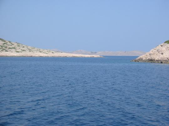 122-2217_IMG.jpg